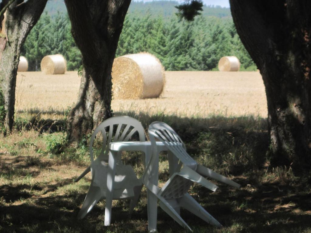 Le Relais De Porz Morvan Plomodiern ภายนอก รูปภาพ