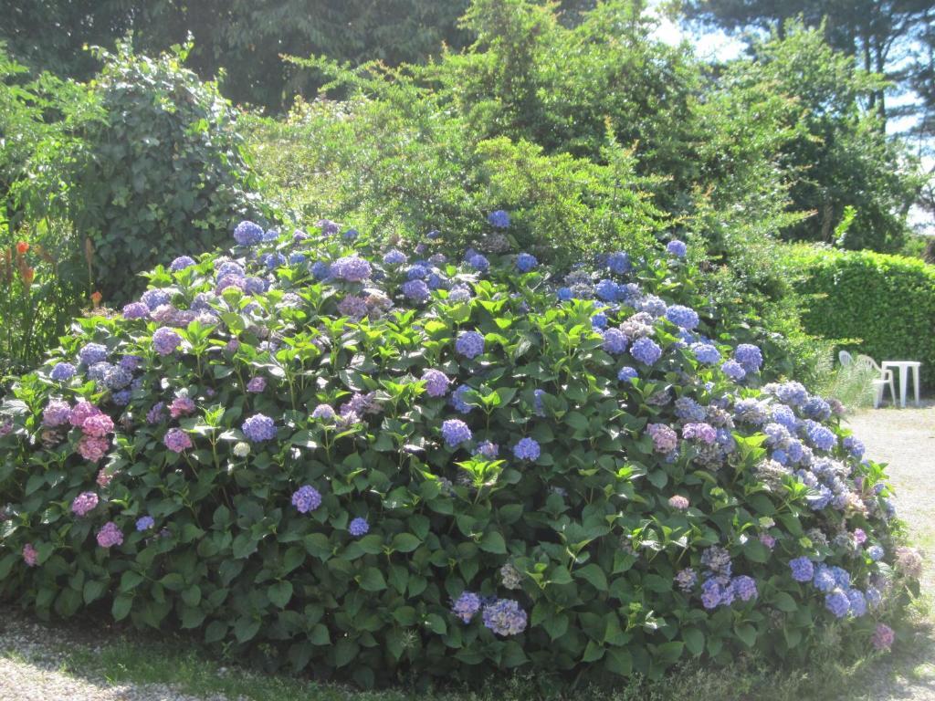 Le Relais De Porz Morvan Plomodiern ภายนอก รูปภาพ
